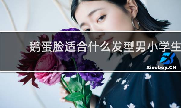 鹅蛋脸适合什么发型男小学生