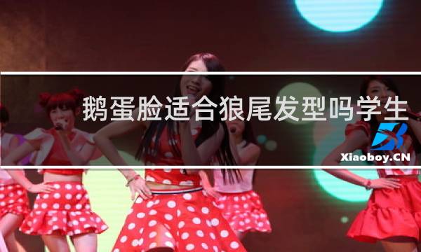 鹅蛋脸适合狼尾发型吗学生