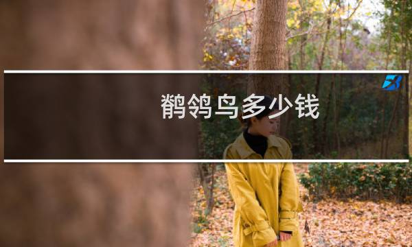 鹡鸰鸟多少钱