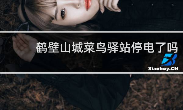 鹤壁山城菜鸟驿站停电了吗