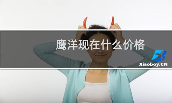鹰洋现在什么价格