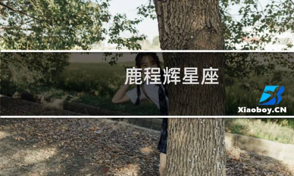 鹿程辉星座