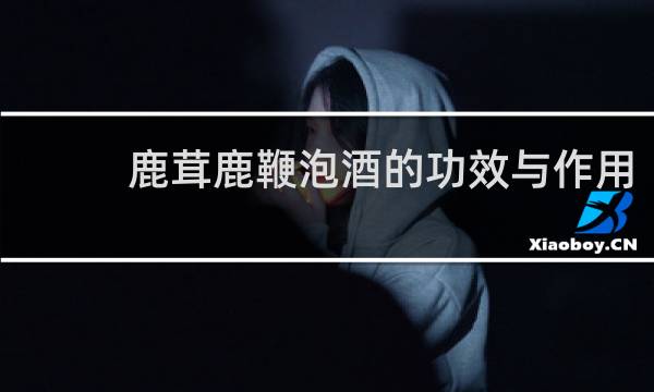 鹿茸鹿鞭泡酒的功效与作用
