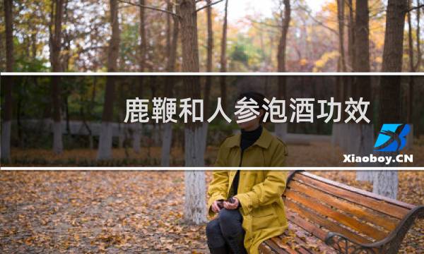鹿鞭和人参泡酒功效
