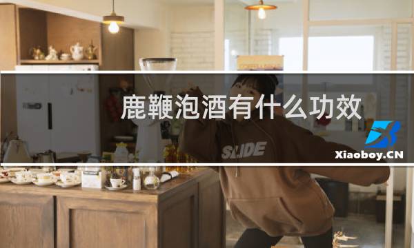 鹿鞭泡酒有什么功效