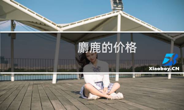 麝鹿的价格