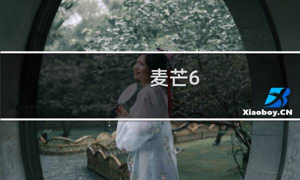 麦芒6 攻略