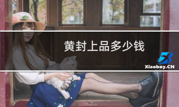 黄封上品多少钱