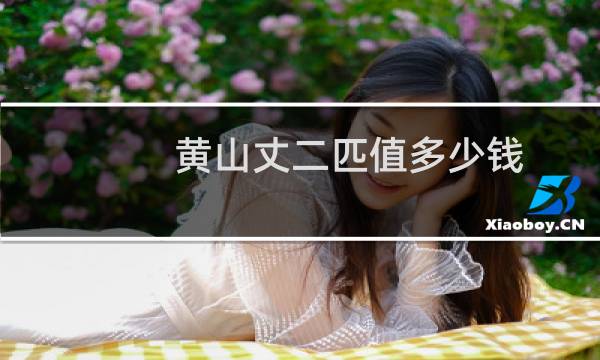 黄山丈二匹值多少钱