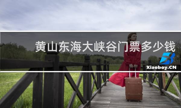 黄山东海大峡谷门票多少钱
