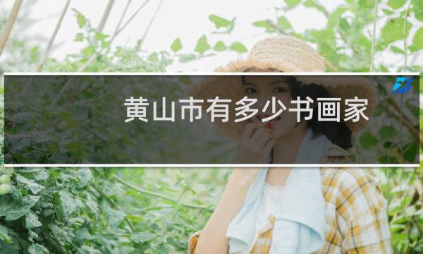 黄山市有多少书画家