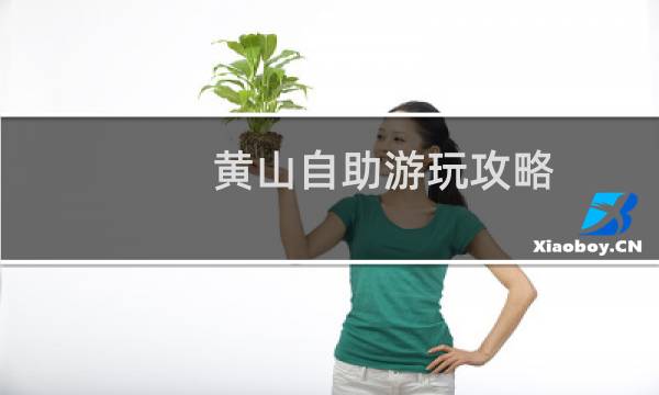 黄山自助游玩攻略