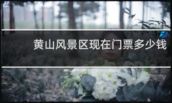 黃山風(fēng)景區(qū)現(xiàn)在門票多少錢