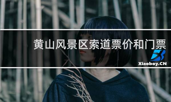 黄山风景区索道票价和门票