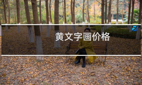 黄文字画价格