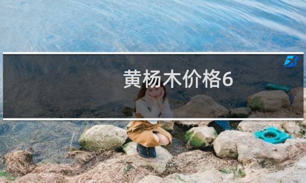 黄杨木价格6