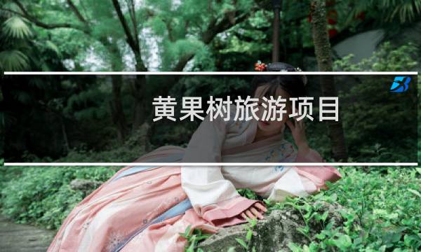 黄果树旅游项目
