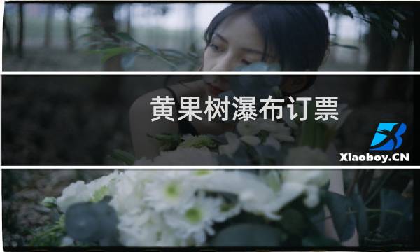 黄果树瀑布订票