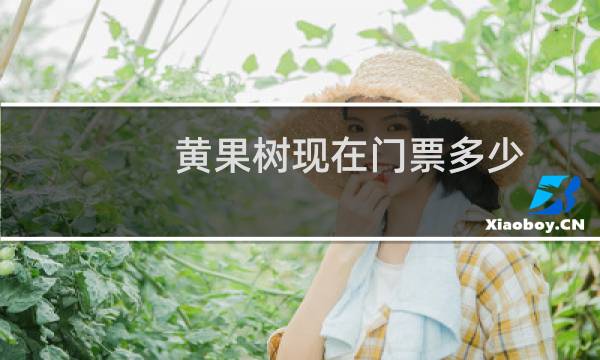 黄果树现在门票多少