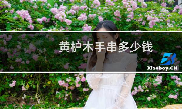 黄枦木手串多少钱
