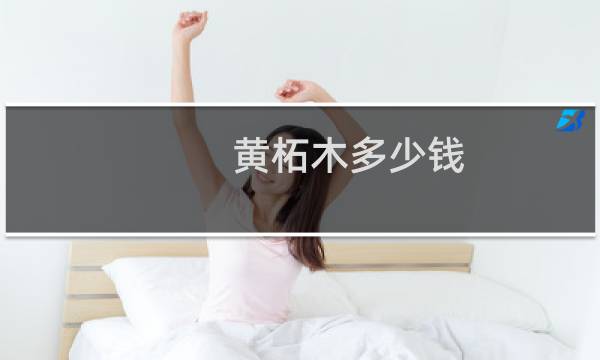 黄柘木多少钱