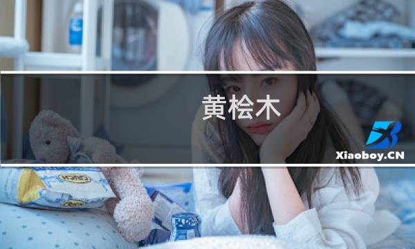 黄桧木 价格
