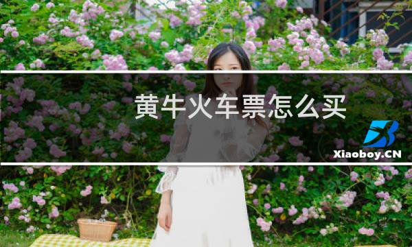 黄牛火车票怎么买