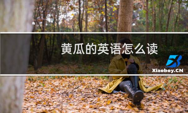 黄瓜的英语怎么读