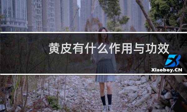 黄皮有什么作用与功效