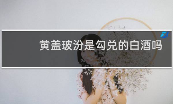 黄盖玻汾是勾兑的白酒吗