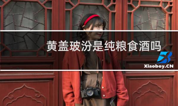黄盖玻汾是纯粮食酒吗