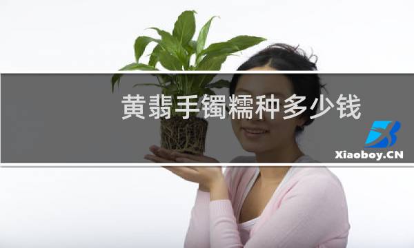 黄翡手镯糯种多少钱