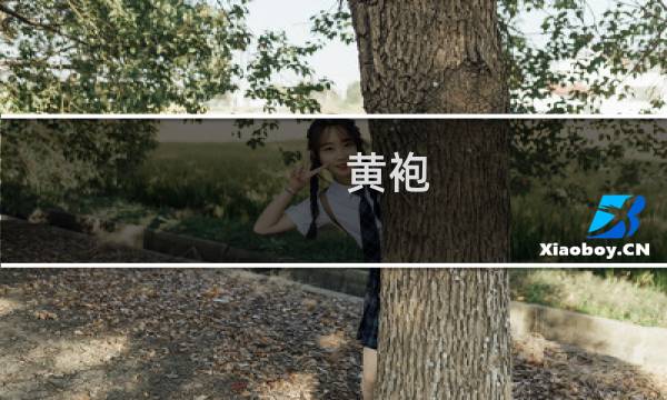 黄袍 攻略