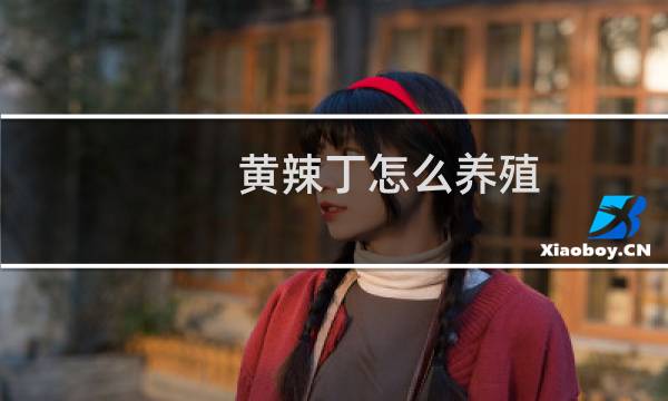 黄辣丁怎么养殖