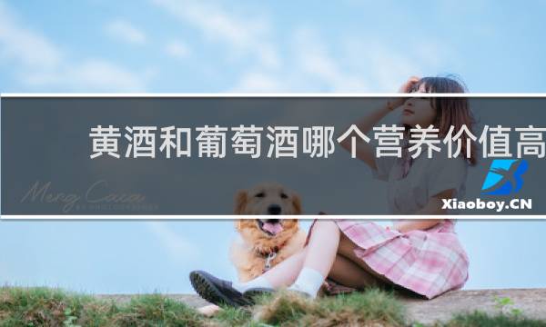 黄酒和葡萄酒哪个营养价值高