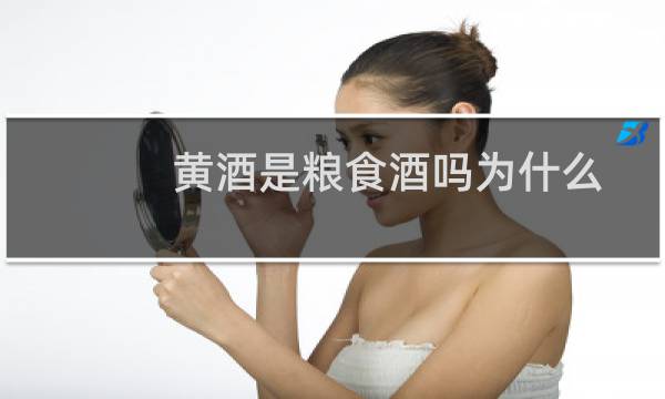 黄酒是粮食酒吗为什么