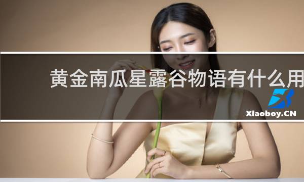 黄金南瓜星露谷物语有什么用