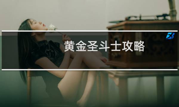黄金圣斗士攻略