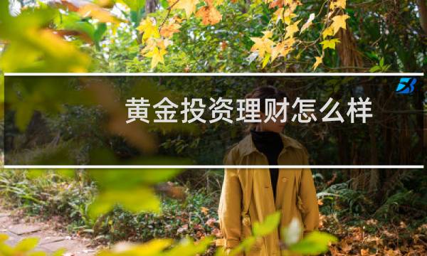 黄金投资理财怎么样