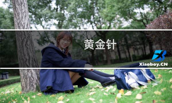 黄金针 艾尔登法环