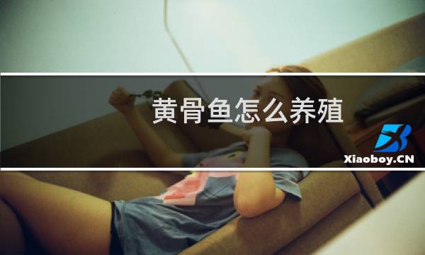 黄骨鱼怎么养殖