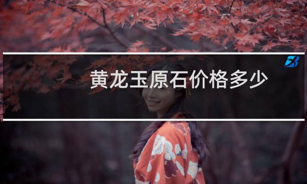黄龙玉原石价格多少