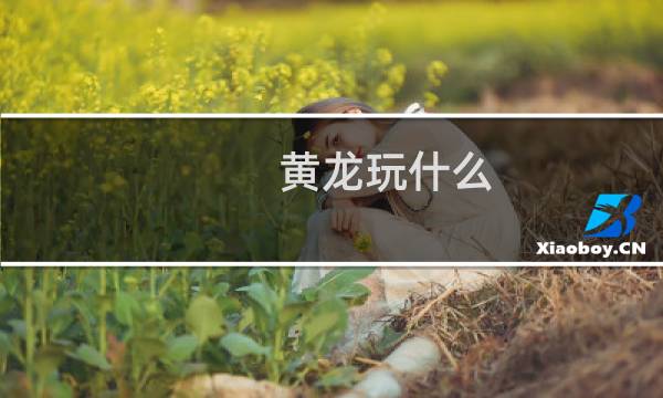 黄龙玩什么