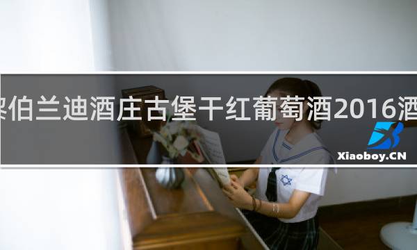 黎伯兰迪酒庄古堡干红葡萄酒2016酒怎么样