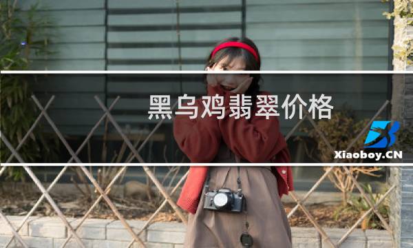 黑乌鸡翡翠价格