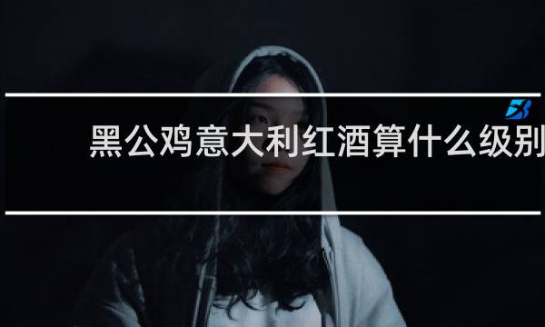 黑公鸡意大利红酒算什么级别