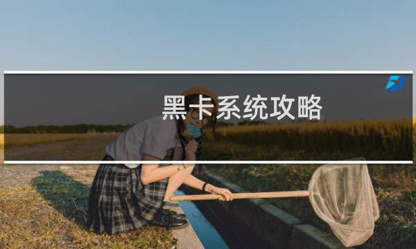 黑卡系统攻略