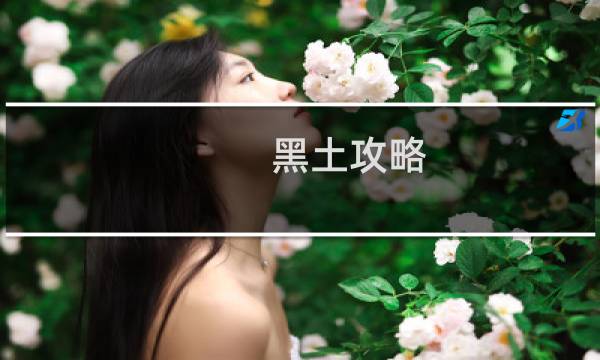 黑土攻略