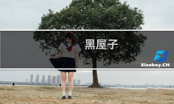 黑屋子 攻略