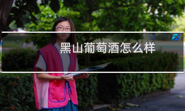 黑山葡萄酒怎么样